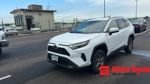 2024 Toyota RAV4 XLE AWD's photo