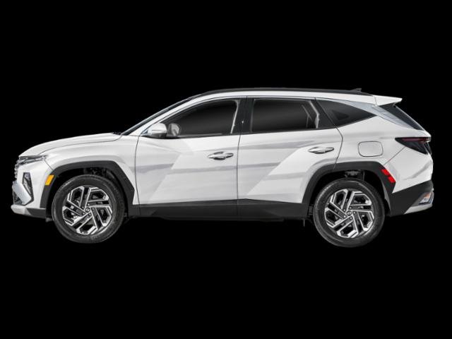 New 2026 Creamy White Pearl Hyundai Limited image 16