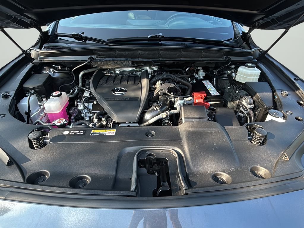 2024 Lexus RX 350 - Photo 9