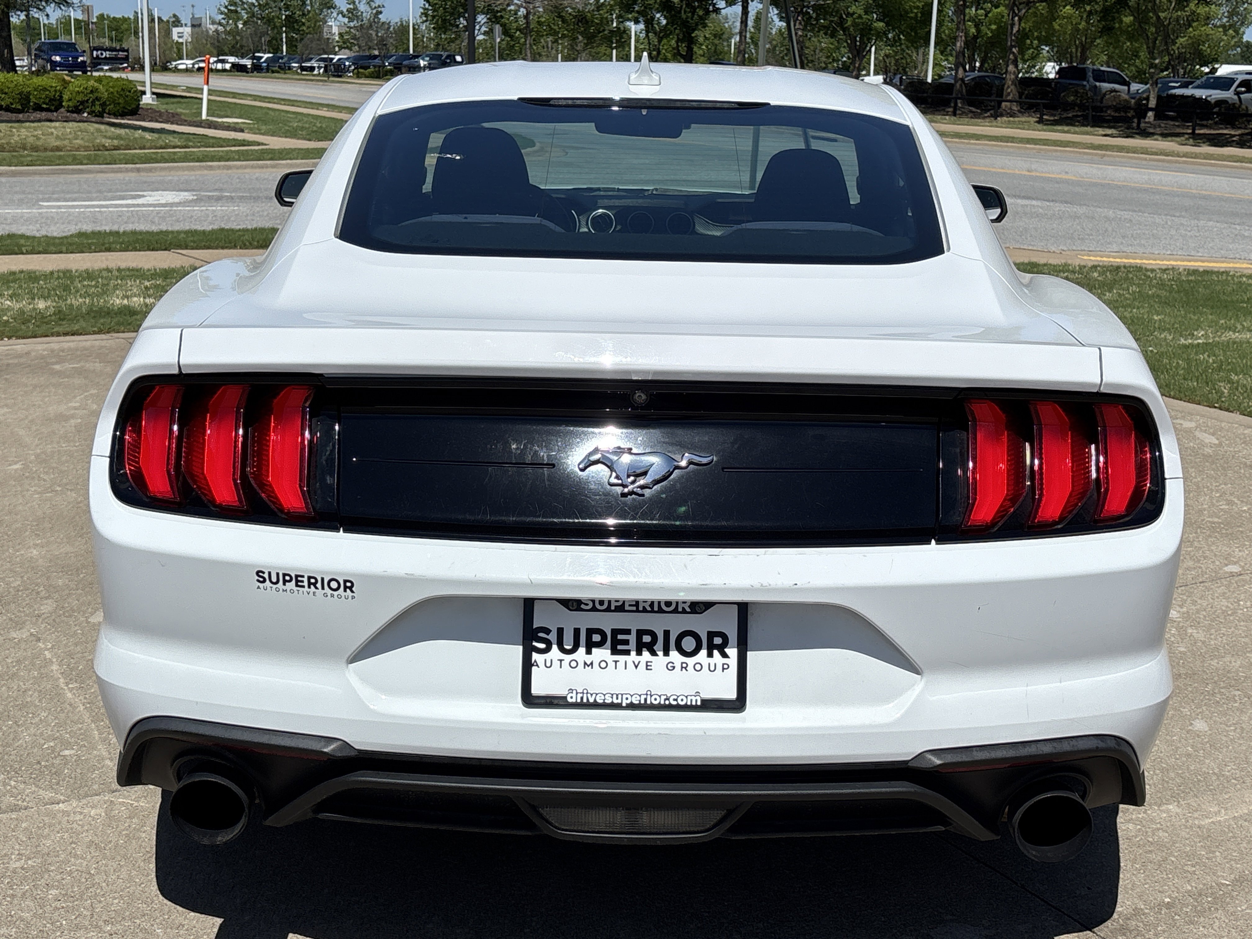 Used 2021 Oxford White Ford EcoBoost image 5