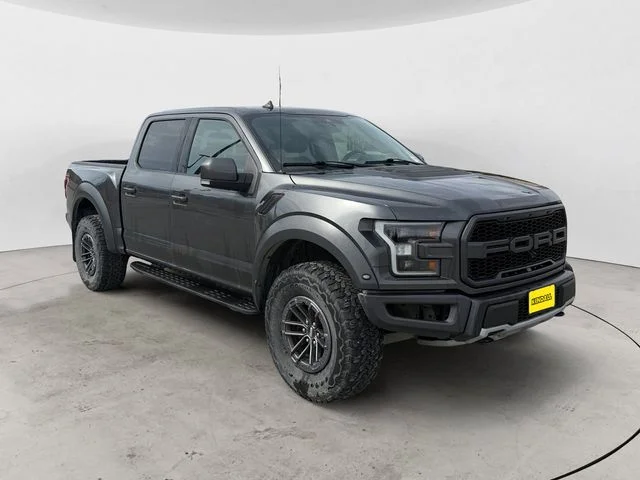 Used 2019 Magnetic Ford Raptor image 7