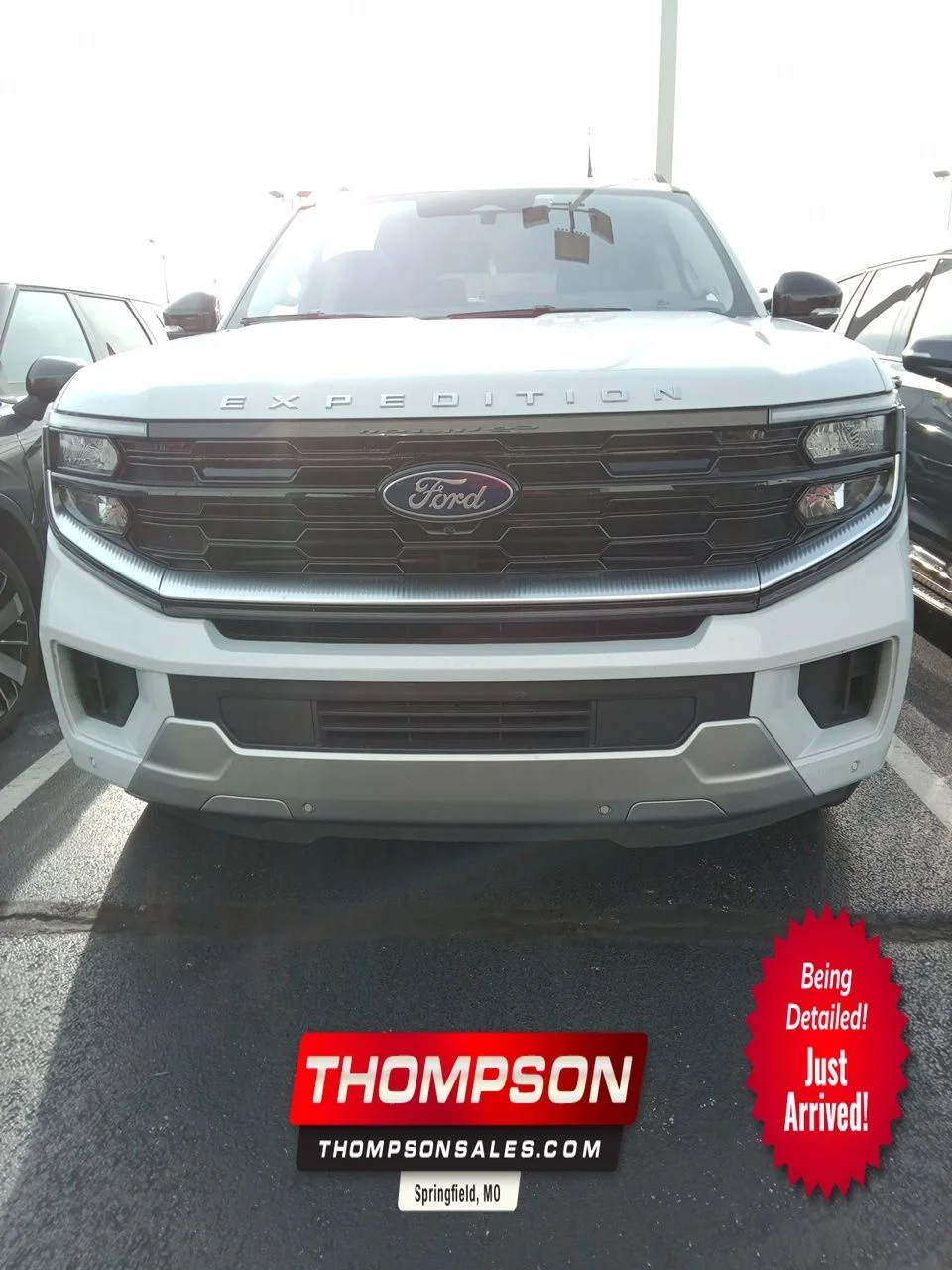 2025 Ford Expedition Platinum 4x4's photo