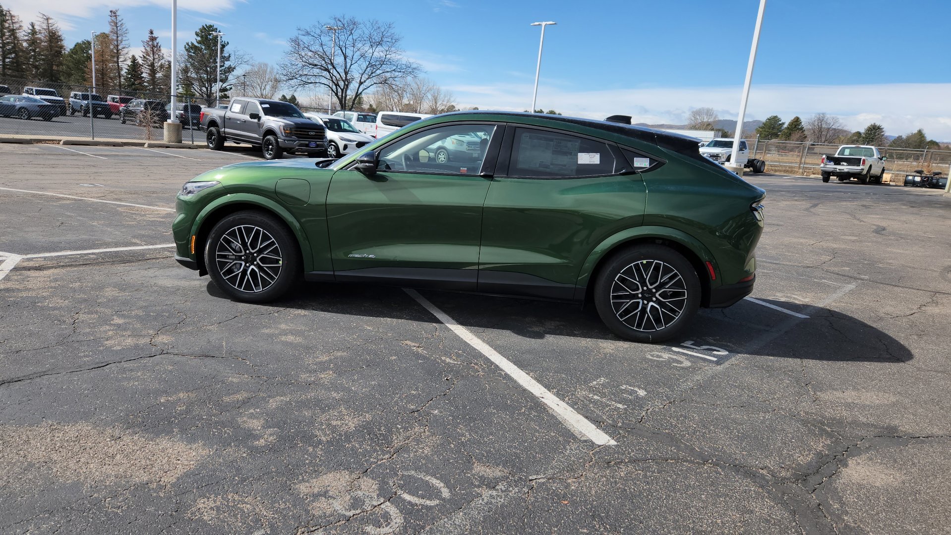 New 2026 Eruption Green Metallic Ford Premium image 6