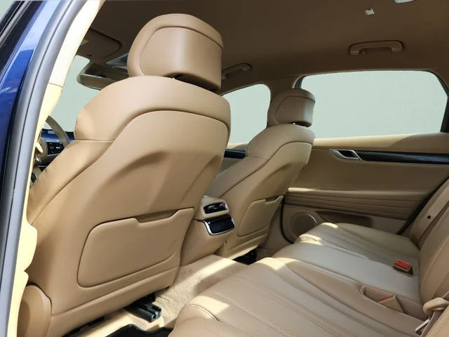 Used 2026 Blue Genesis 2.5T image 18