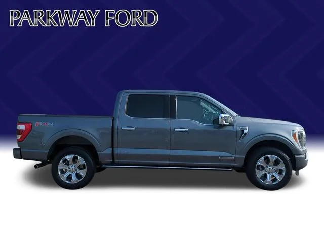Used 2023 Gray Ford Platinum image 6