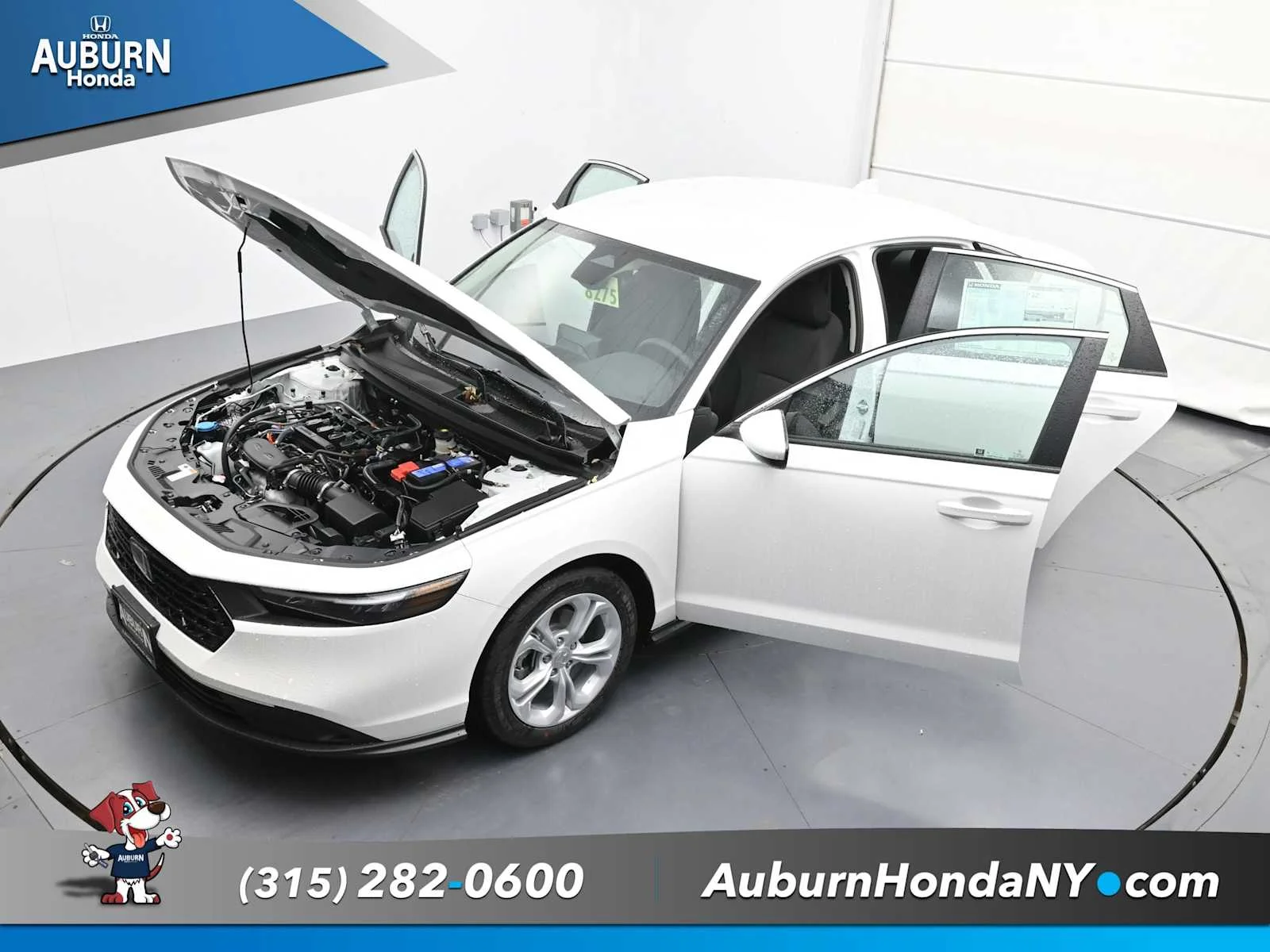 New 2025 Platinum White Pearl Honda LX image 33