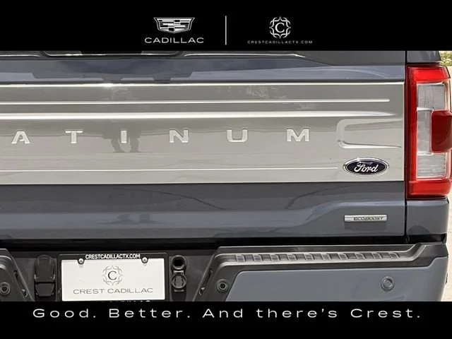 Used 2023 Gray Ford Platinum image 5