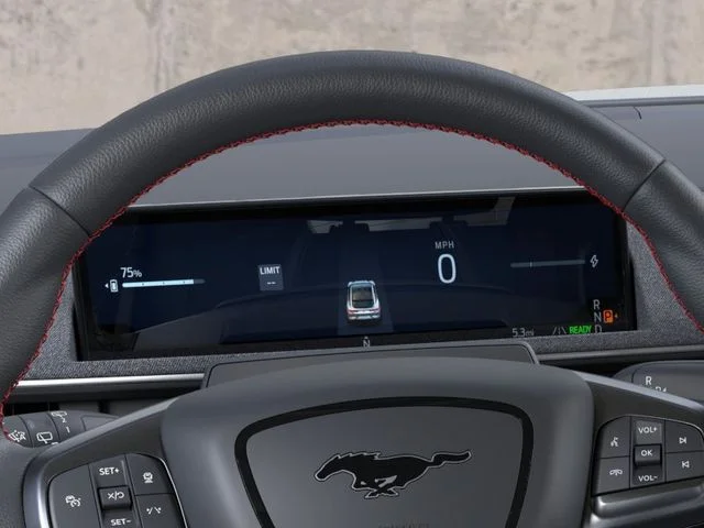 New 2026 Gray Ford Premium image 13