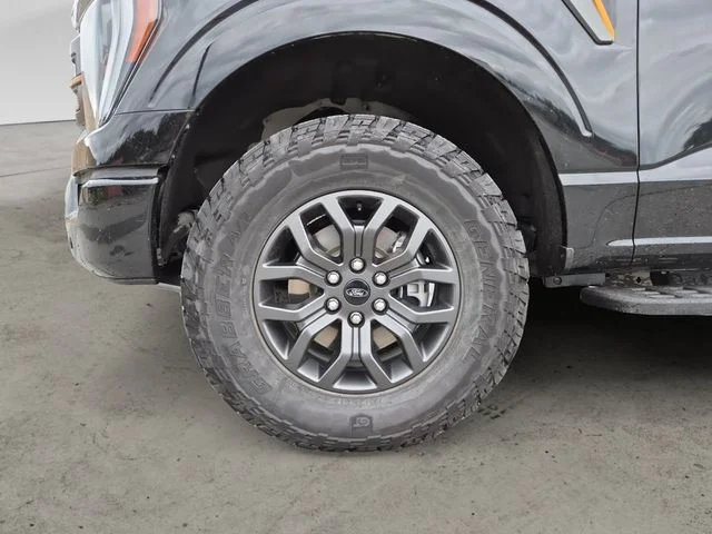 Used 2023 Black Metallic Ford Tremor image 9
