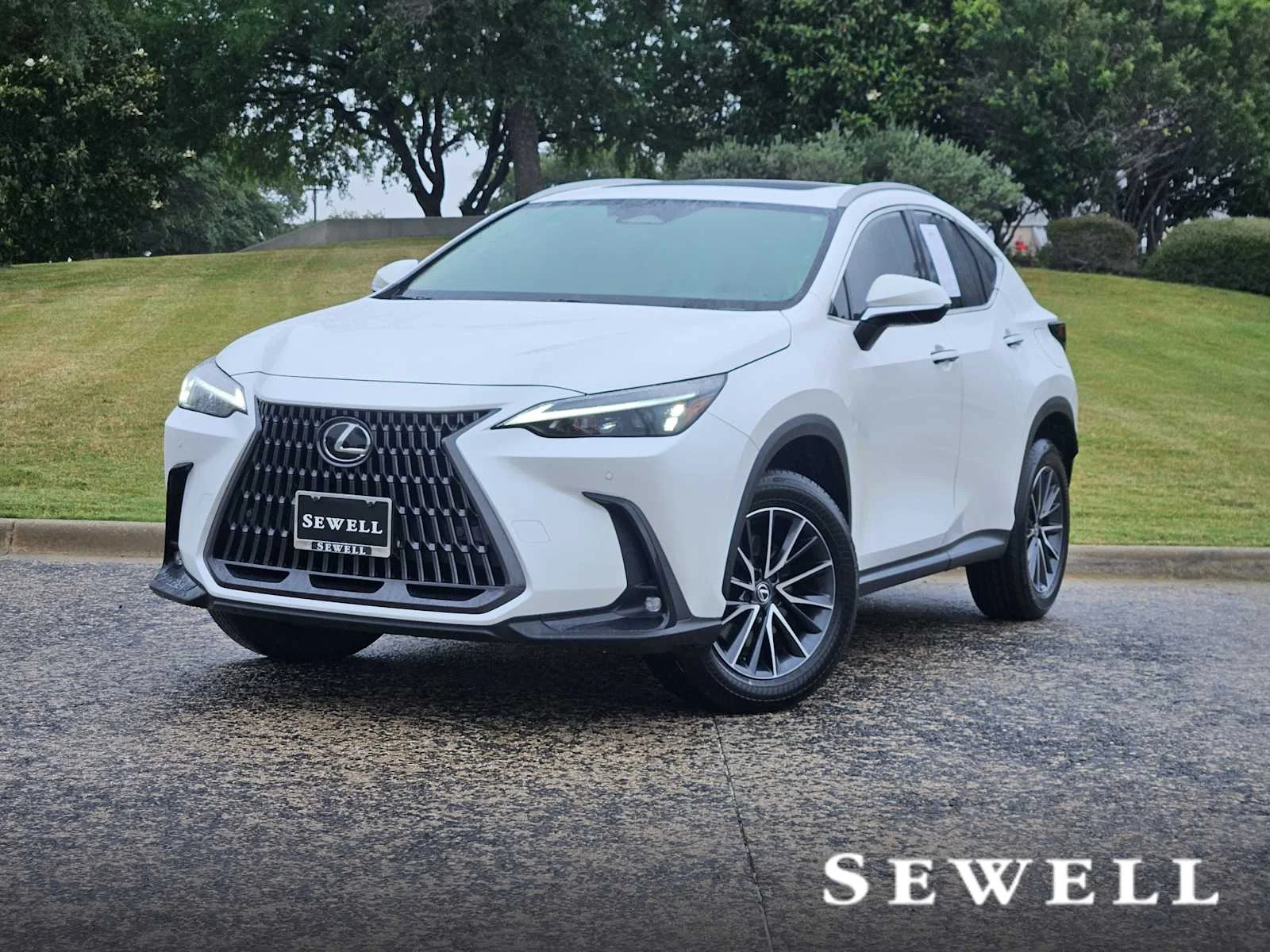 2025 Lexus NX 350 250 Premium FWD's photo