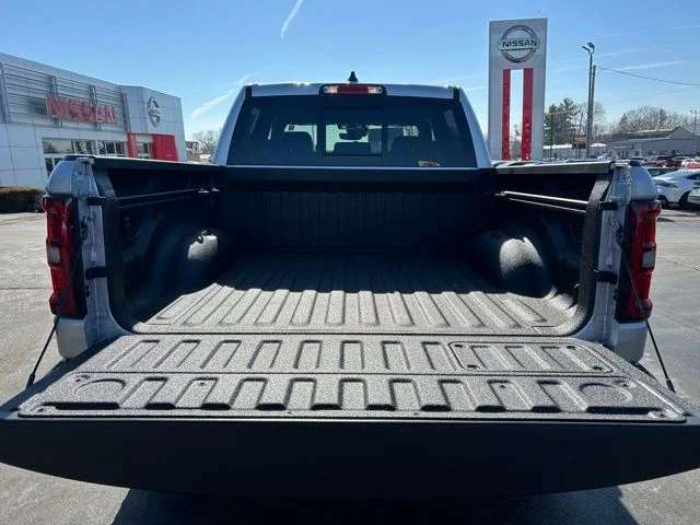 New 2026 Silver Zynith Exterior Paint RAM Rebel image 11