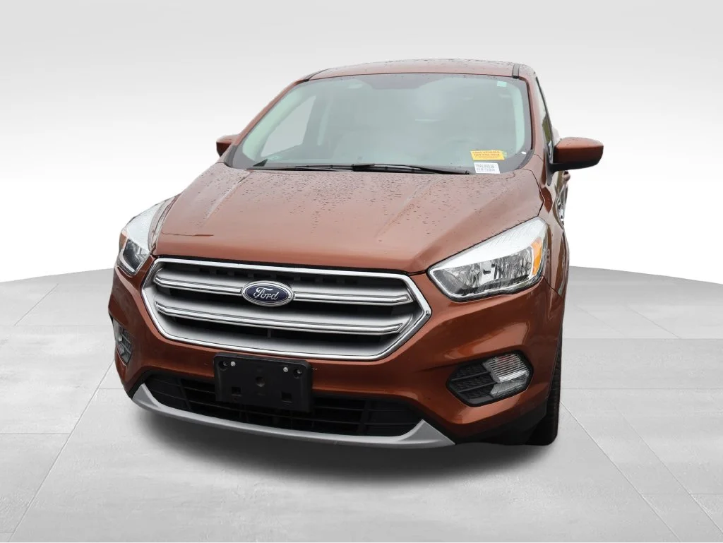 Used 2017 Canyon Ridge Metallic Ford SE image 4