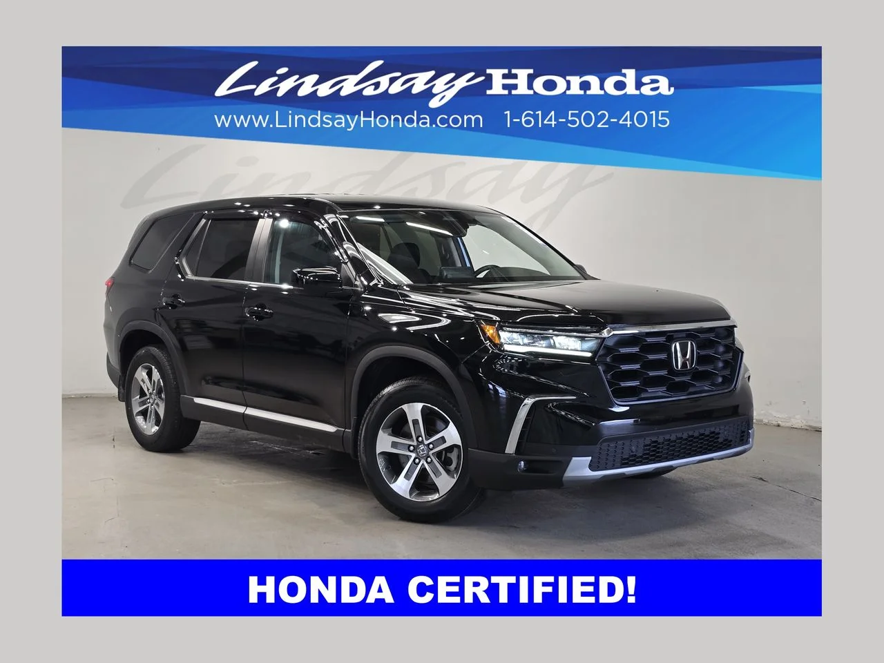 2024 Honda Pilot EX-L 8-Occupant AWD's photo