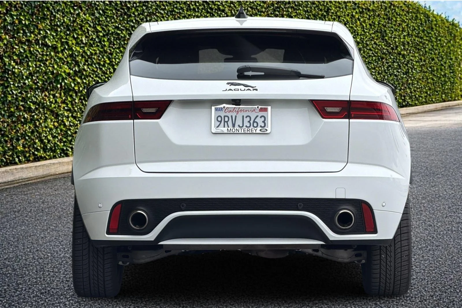 Used 2024 White Jaguar P250 image 5