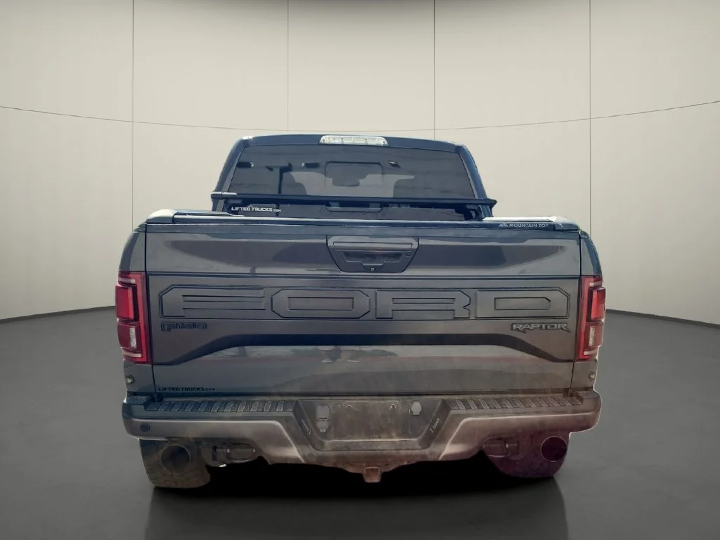 Used 2018  Ford Raptor image 6