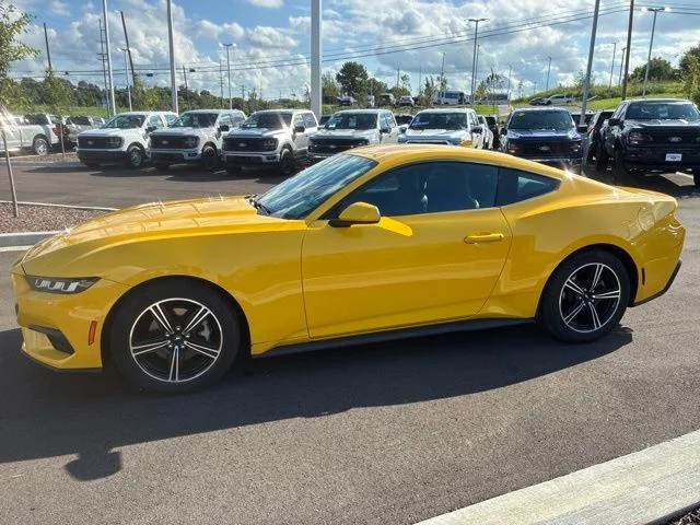 Used 2024 Yellow Ford EcoBoost image 4