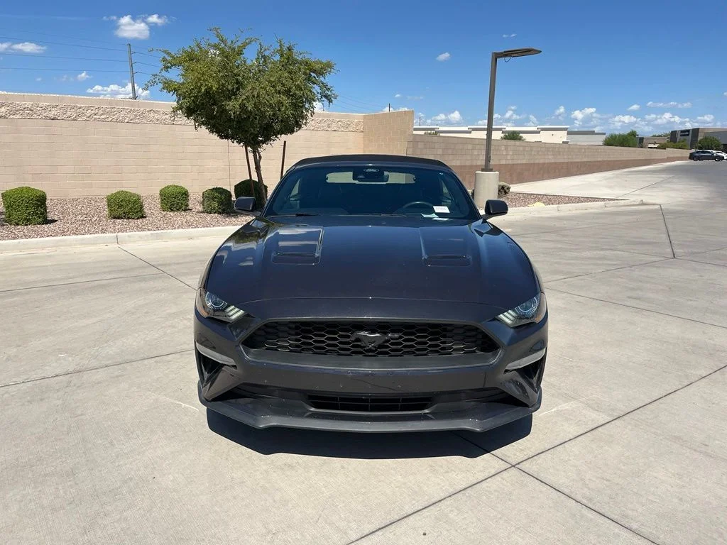 Used 2023 Gray Ford EcoBoost Premium image 3