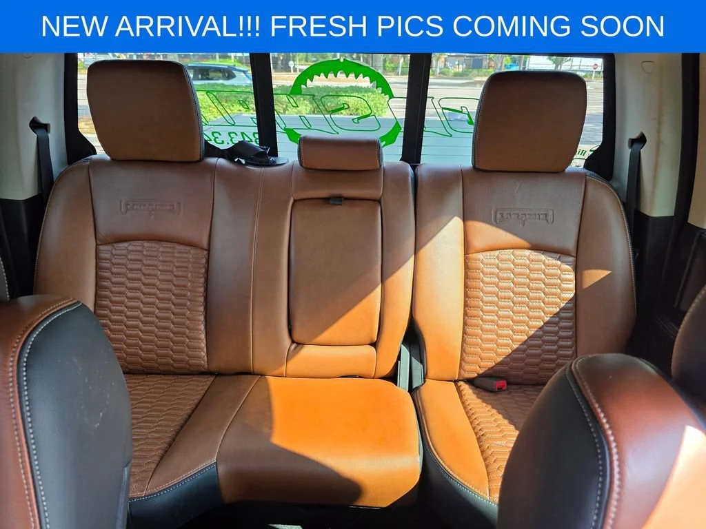 Used 2015 Green Ram Laramie image 12