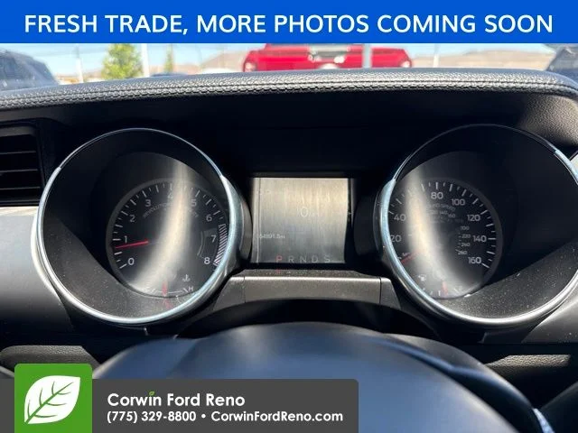 Used 2023 Gray Ford EcoBoost Premium image 14