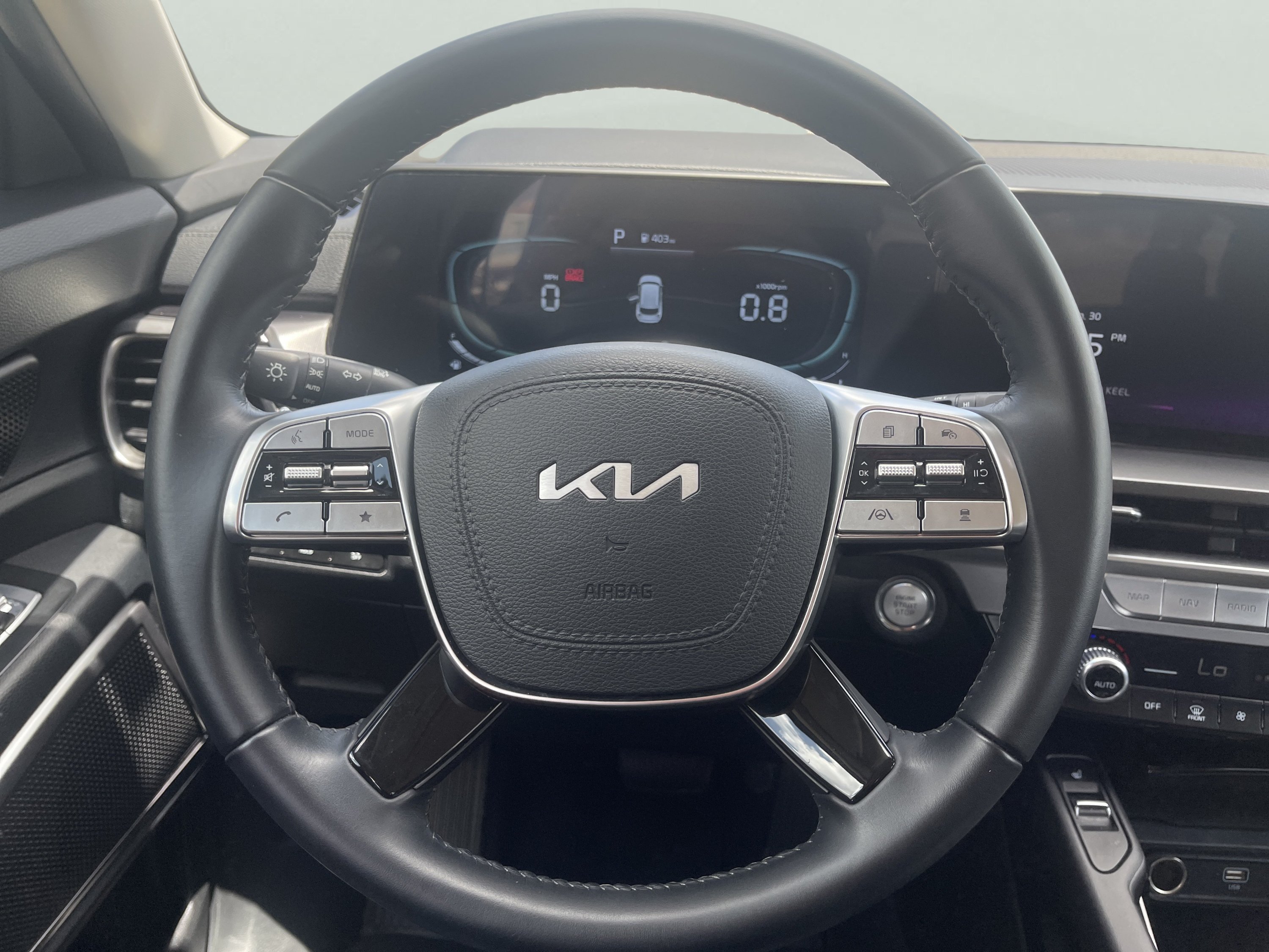 Used 2025 Panthera Metal Kia S image 15