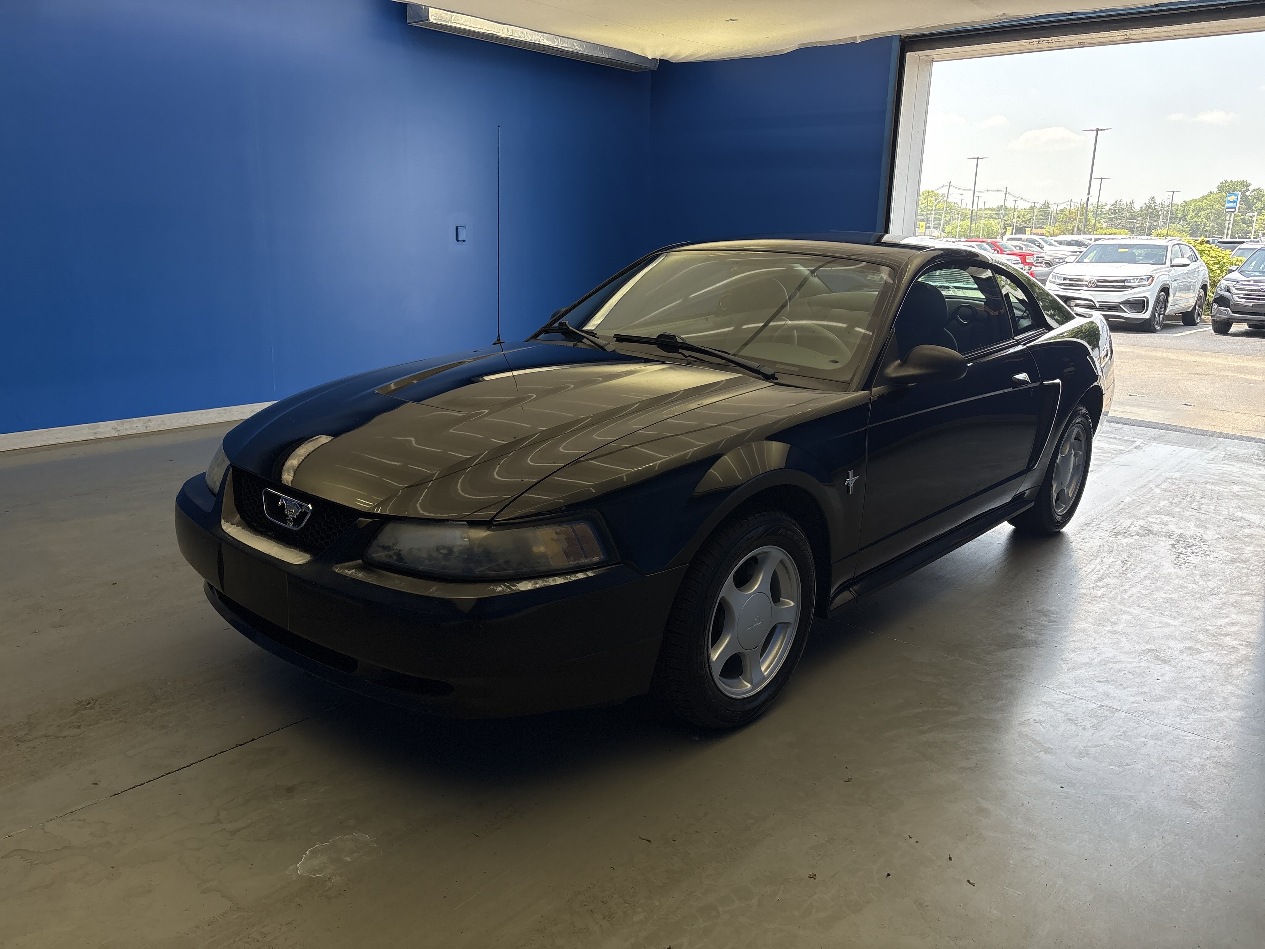 Used 2003 Black Ford Standard image 4