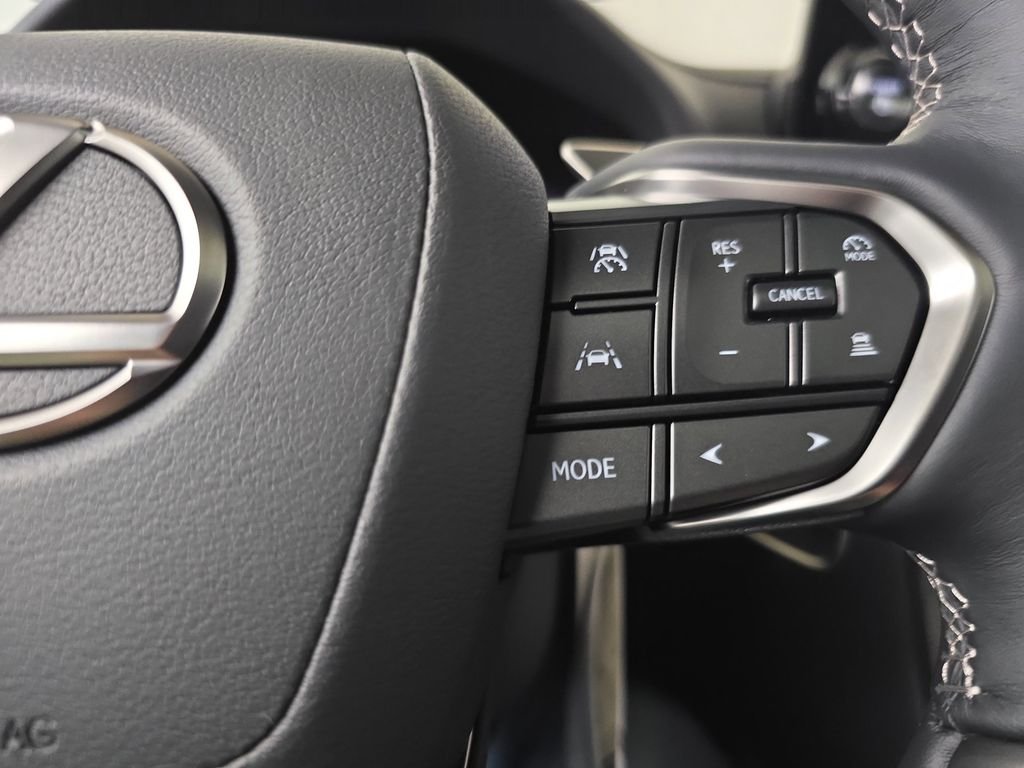 2025 Lexus LX 700h Luxury - Photo 19