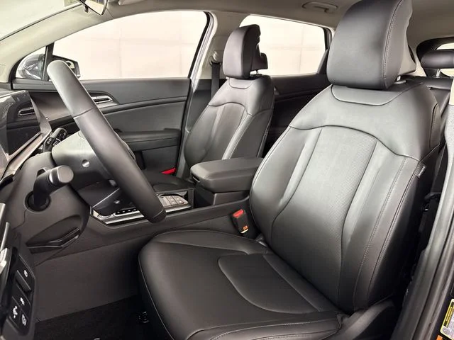 New 2026 Panthera Metal Kia EX image 11