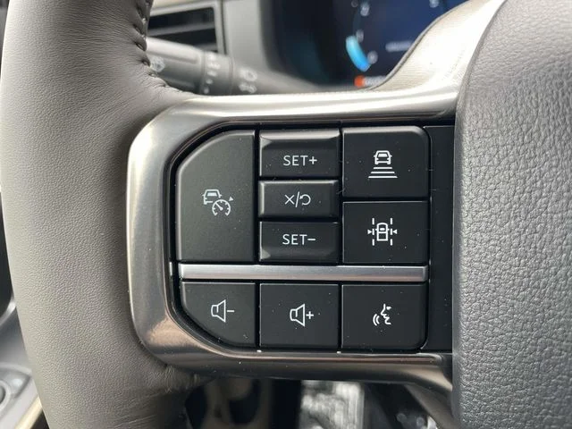 New 2026 Black Ford Platinum image 19