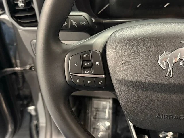 Used 2024 Gray Ford Heritage image 19