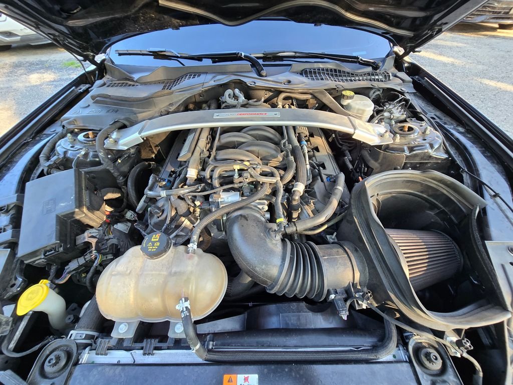 Used 2019 Black Ford Shelby GT350 image 20