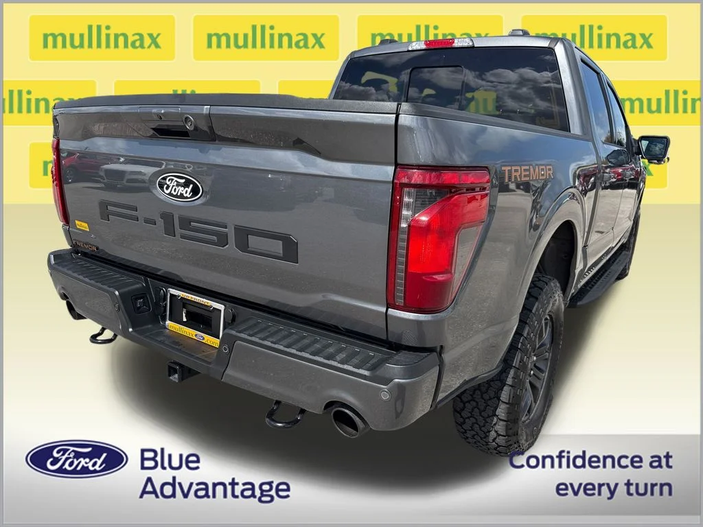 2025 Ford F-150 Tremor - Photo 11