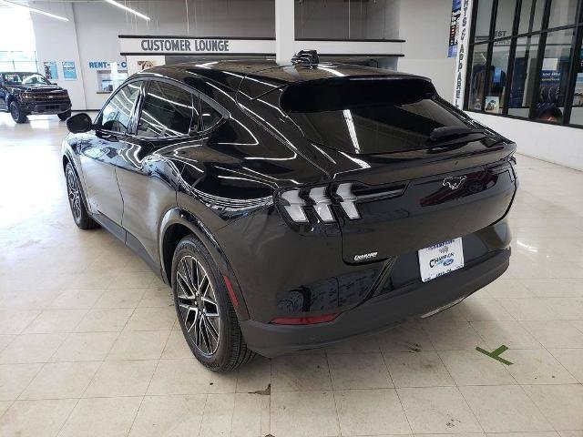 New 2026 Shadow Black Ford Premium image 6