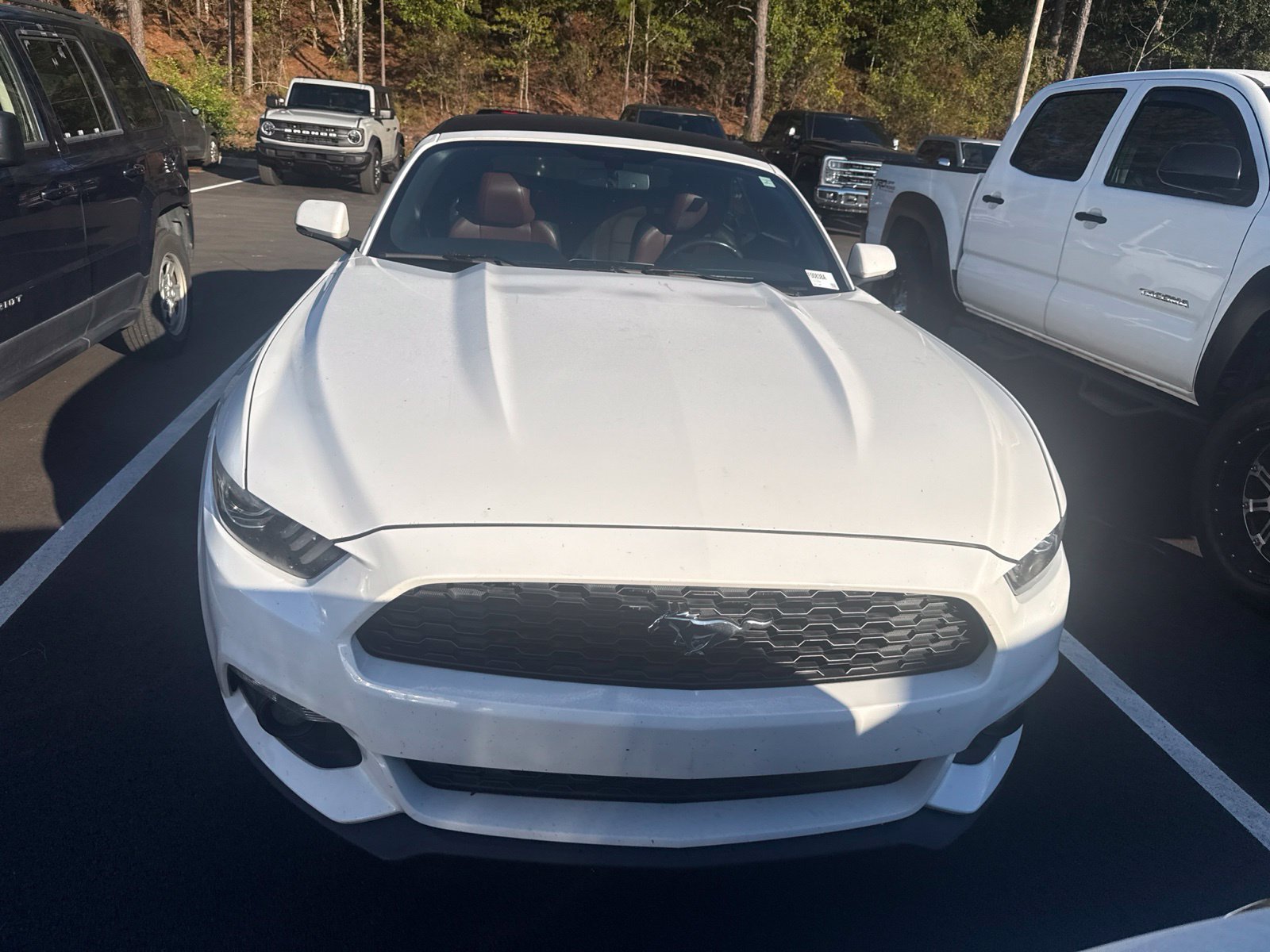 Used 2016 Ford Mustang EcoBoost Premium with VIN 1FATP8UH7G5216891 for sale in Graniteville, SC