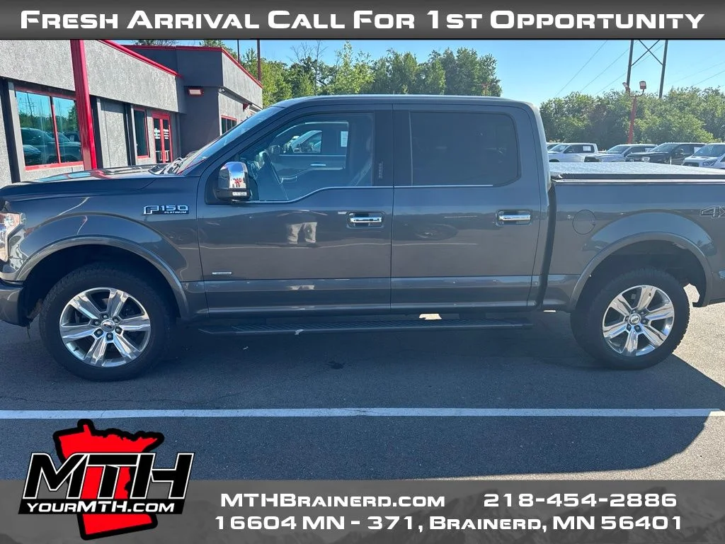 Used 2015 Gray Ford Platinum image 5