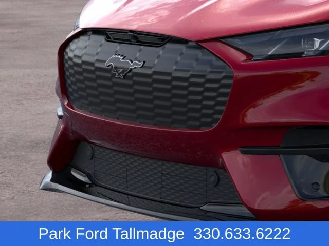2025 Ford Mustang Mach-E GT - Photo 17