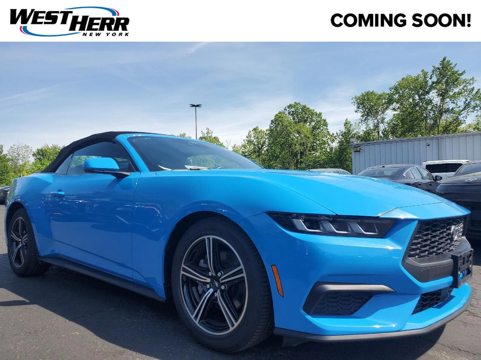 2024 Ford Mustang's photo