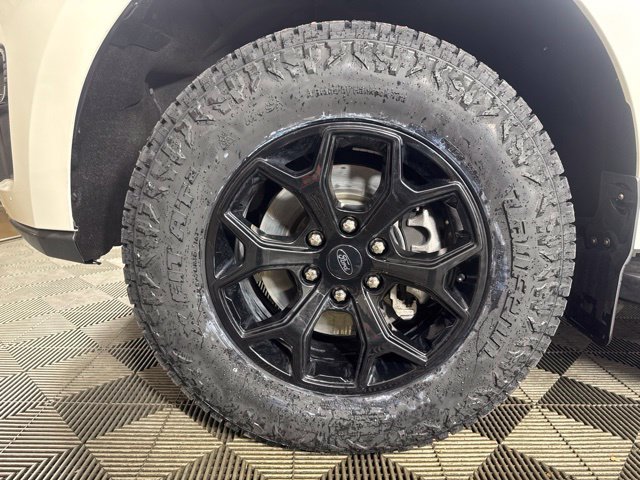 Used 2024 White Ford Timberline image 10