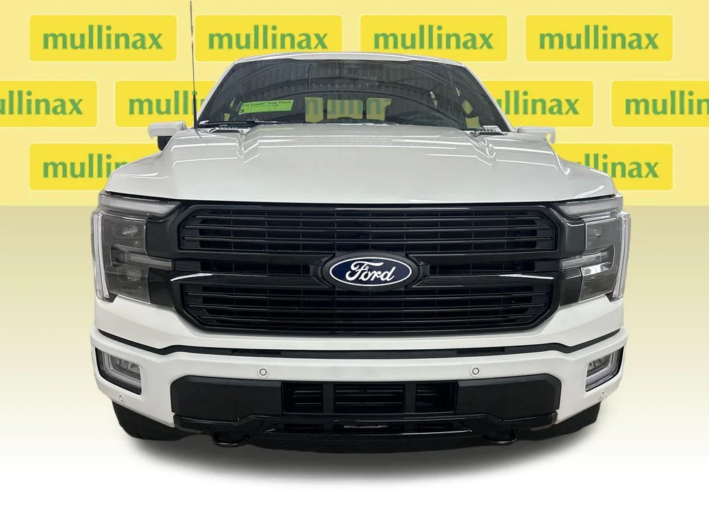 New 2026 White Ford Platinum image 13