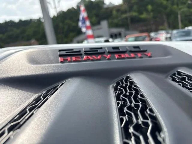 New 2026 Bright White Clearcoat RAM Black Express image 13