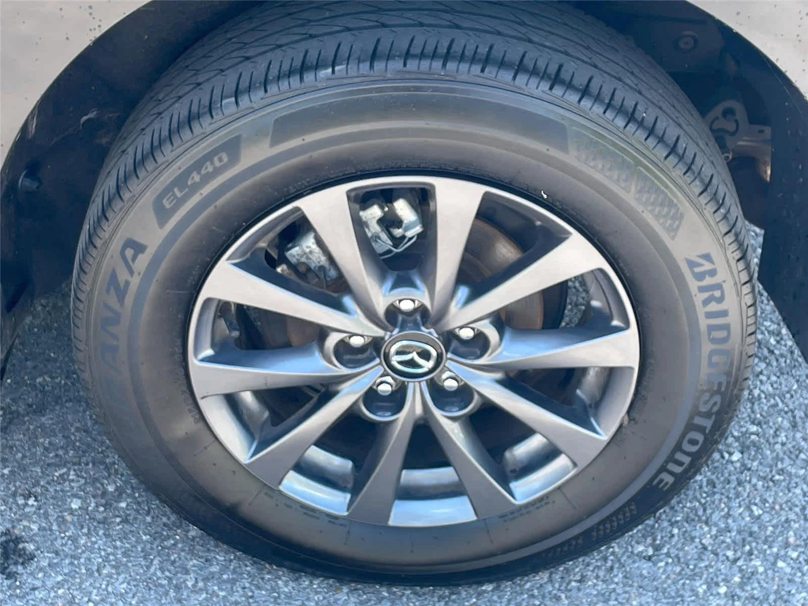 Photo 11