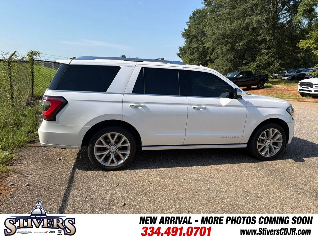 Used 2019 White Ford Platinum image 13