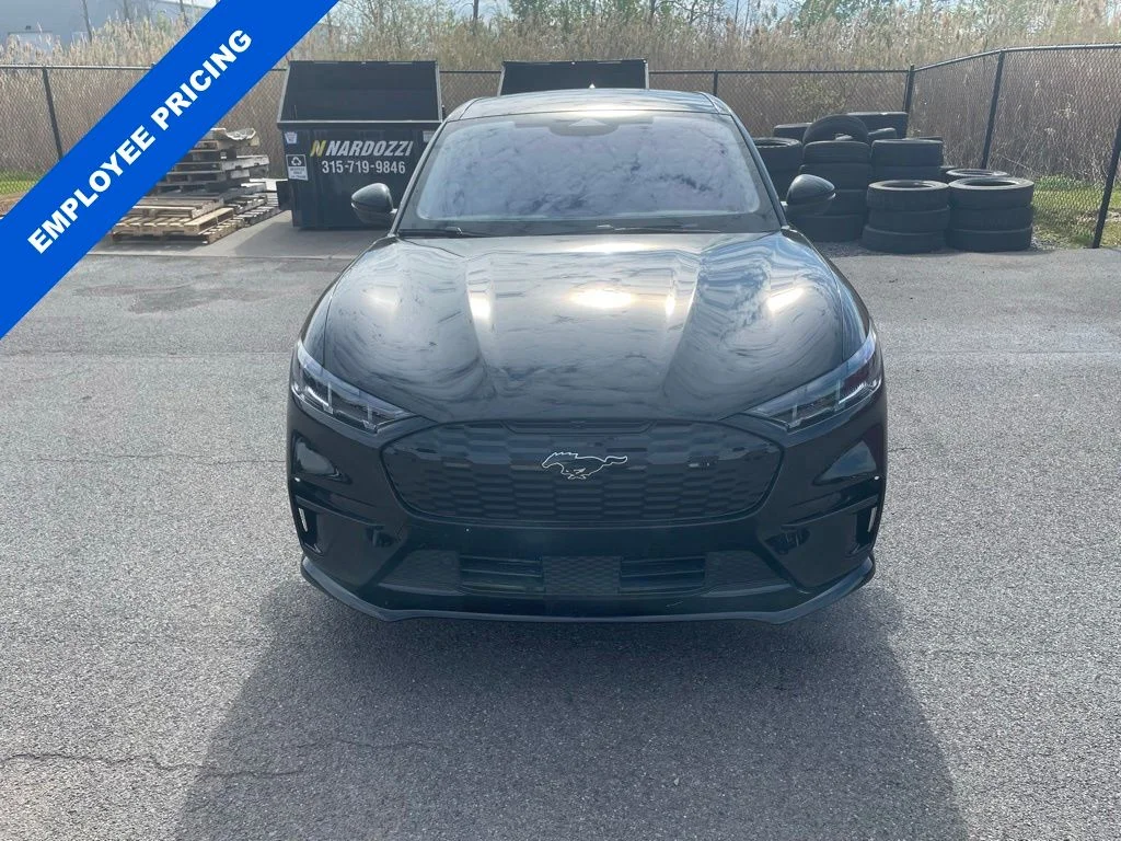 2025 Ford Mustang-Mach-e Premium's photo