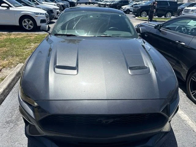 Used 2019 Magnetic Ford EcoBoost Premium image 2