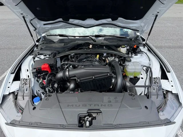 2025 Ford Mustang EcoBoost Premium Convertible - Photo 20