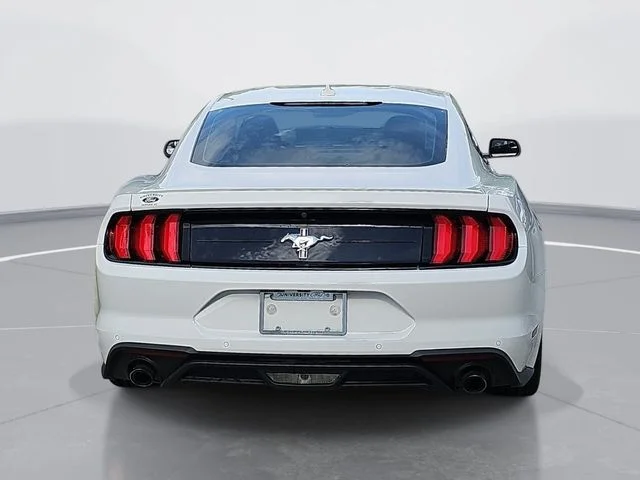 Used 2020 White Ford EcoBoost Premium image 4