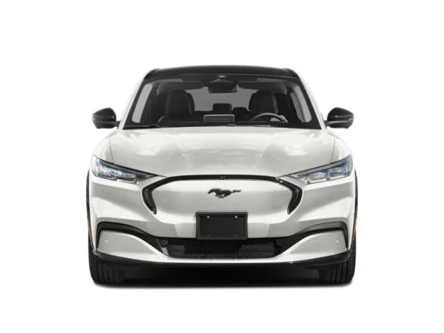 Used 2025 Velocity Blue Metallic Ford Premium image 4