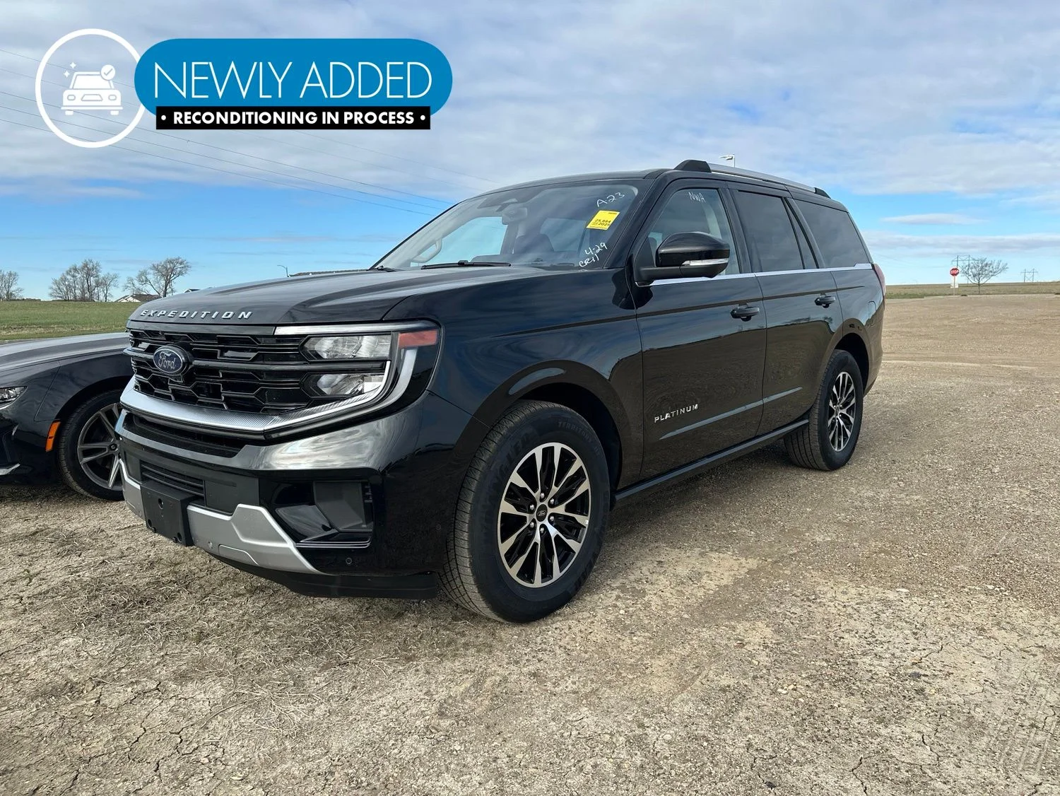 2025 Ford Expedition Platinum 4x4's photo