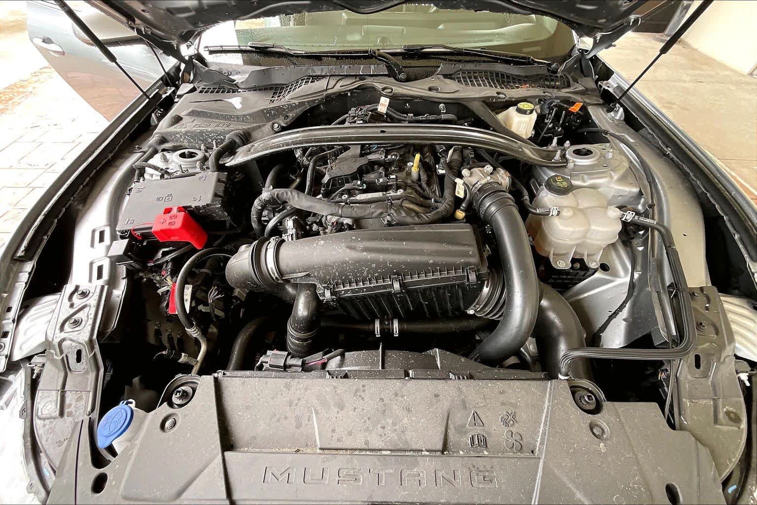 Used 2025 Iconic Silver Metallic Ford EcoBoost Premium image 29