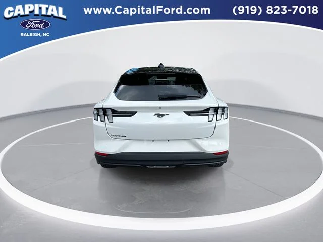 Used 2025 White Ford Premium image 7