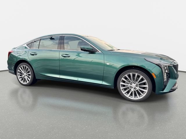 New 2026 Typhoon Metallic Cadillac Premium Luxury image 7